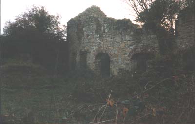 picture of Bessmount house (in ruins)