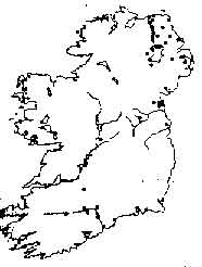 early mesolithic sites