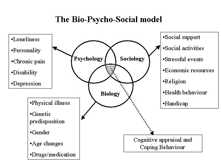 bio-psycho-social model